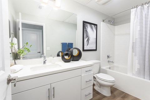 Bathroom 1 at Evolve at South Bay
