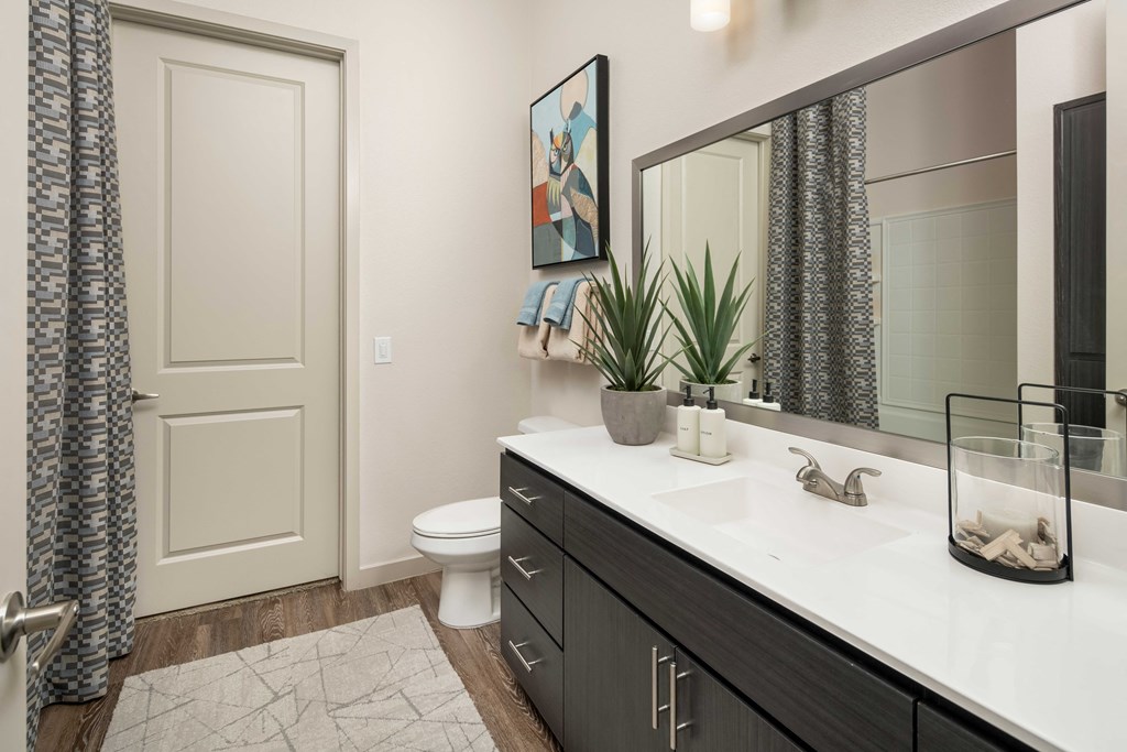 a bathroom with a sink and a toilet and a mirror