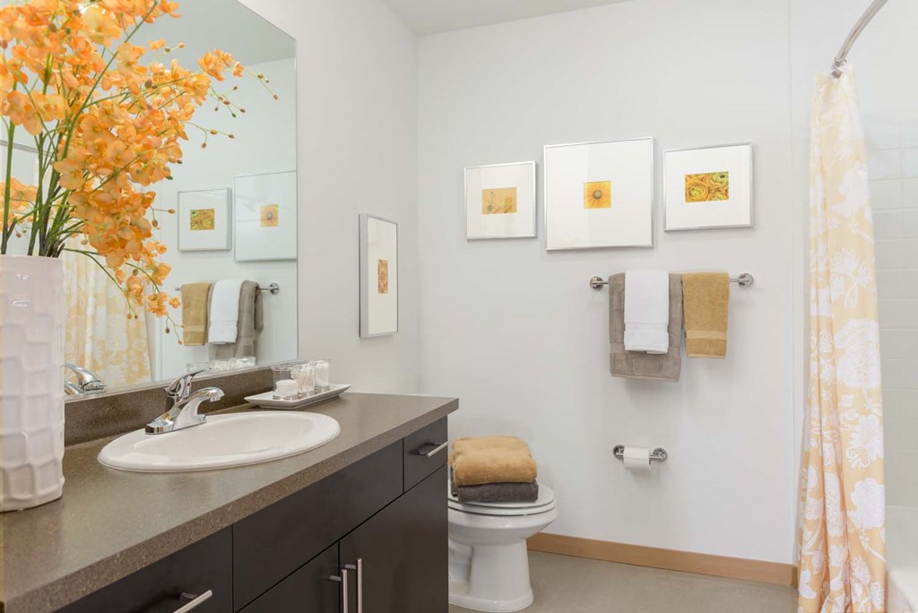 Modern Bathroom Fittings at Tivalli Apartments, Washington, 98087