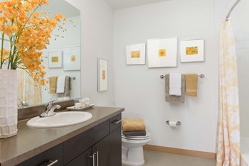 Modern Bathroom Fittings at Tivalli Apartments, Washington, 98087 - Photo Gallery 6