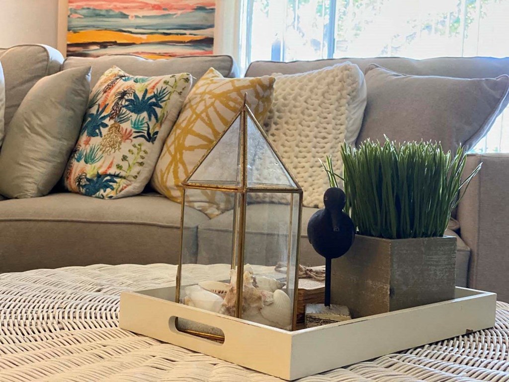 a living room with a couch and a coffee table with plants and a glass box
