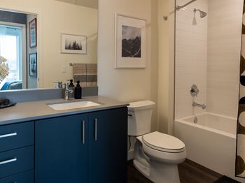 a blue and white bathroom with a toilet sink and shower
