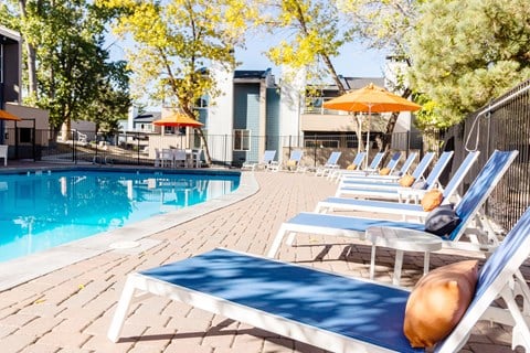 a pool with chairs and umbrellas at the resort on a sunny day