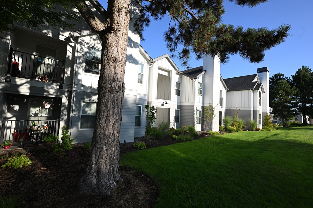 A tree stands in front of a white building with a black roof.