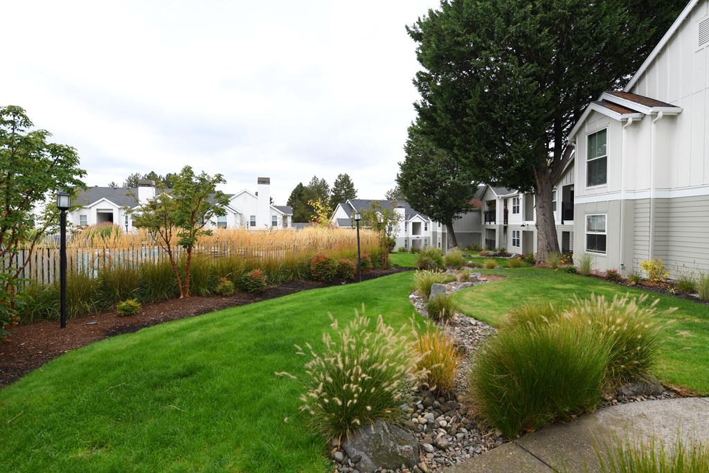 a front yard with a lawn and a row of houses