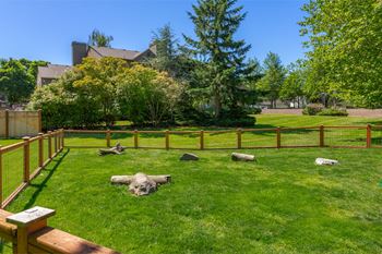 A backyard with a wooden fence and a grassy area.