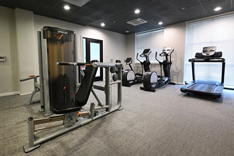 A gym with a treadmill, elliptical machines, and a rowing machine.