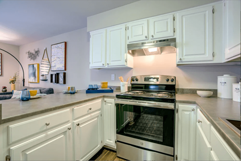 Furnished Living Room at Maris at Martinez