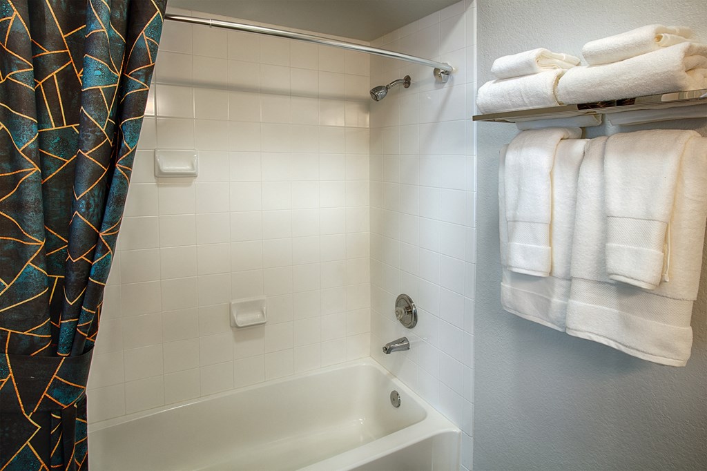 Shower Room at Stone Cliff Apartments
