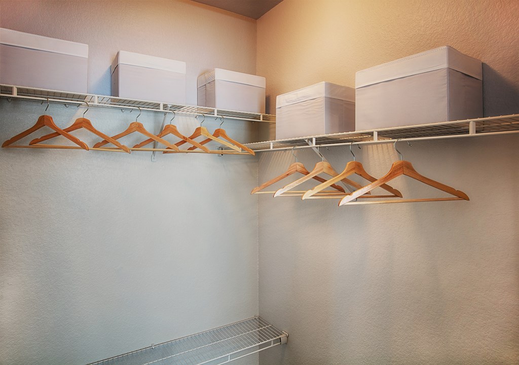 Walk In Closet at Stone Cliff Apartments