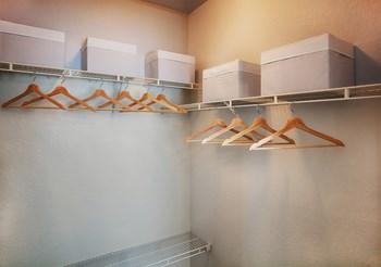 Walk In Closet at Stone Cliff Apartments - Photo Gallery 9