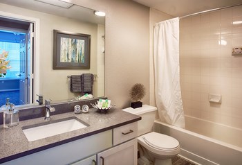 Bathroom Photo at Stone Cliff Apartments - Photo Gallery 16