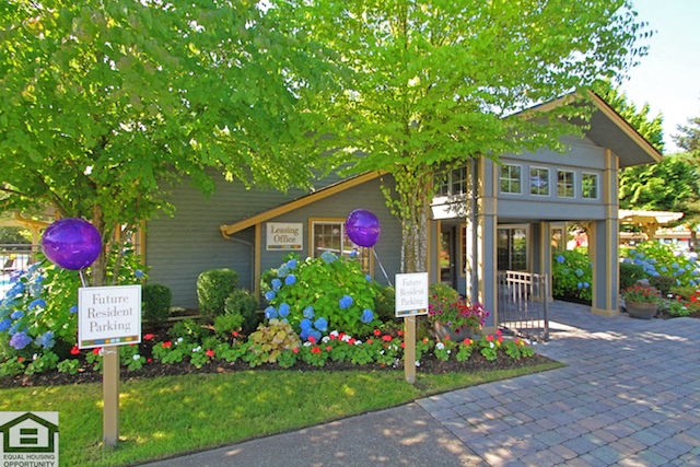 the front of a house with purple balloons in the yard