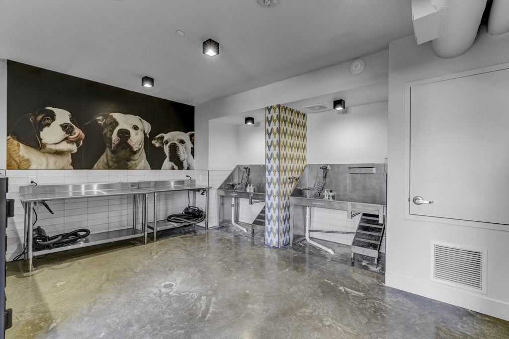 pet wash station at Novo Apartments
