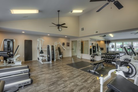 A gym with a variety of equipment including treadmills, weights, and a bench press.