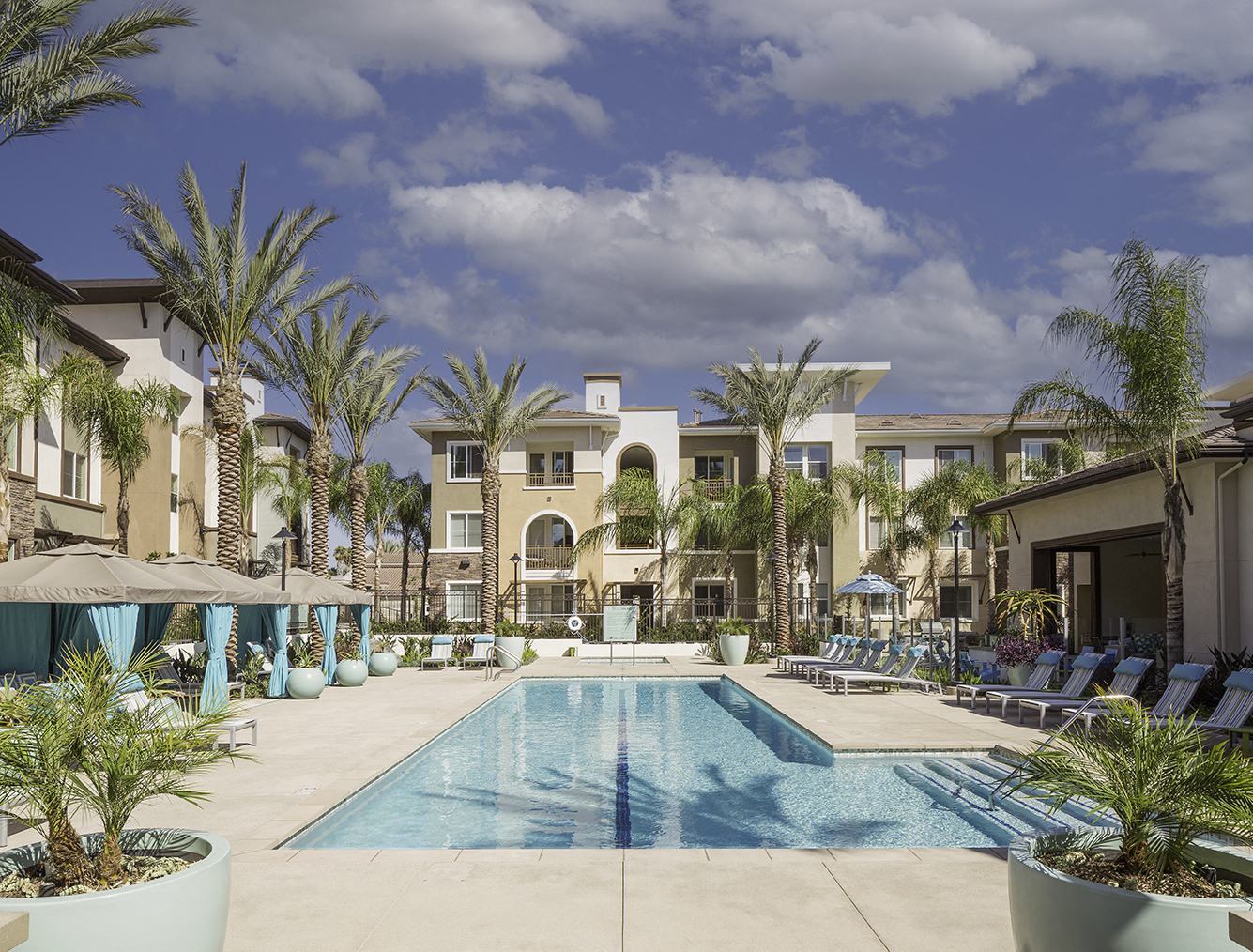 A large swimming pool surrounded by palm trees and lounge chairs.