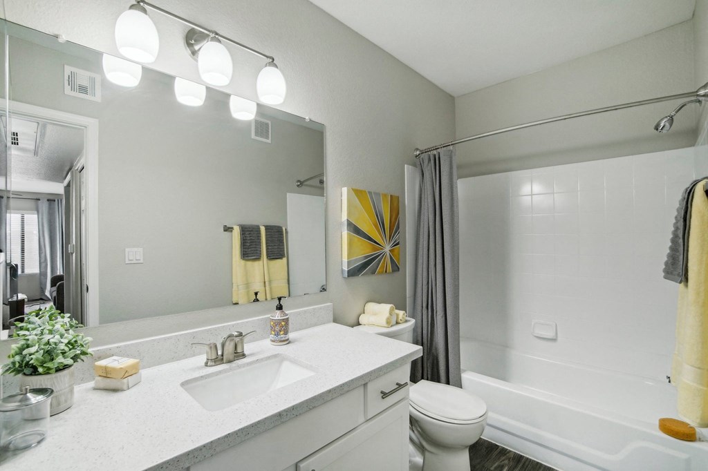 a bathroom with a large mirror and a sink and a toilet