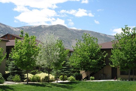 Green Trees at Sierra Sage Apartments