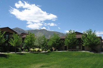 Green Grass at Sierra Sage Apartments - Photo Gallery 9