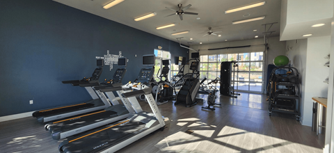 A gym with treadmills, weights, and a fan.