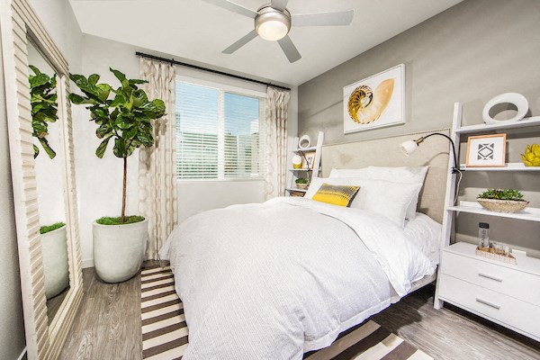 Studio at Marc San Marcos Apartments