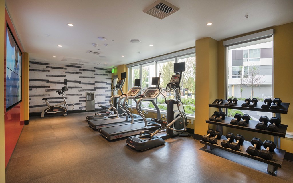 fitness center with cardio equipment and a wall of windows