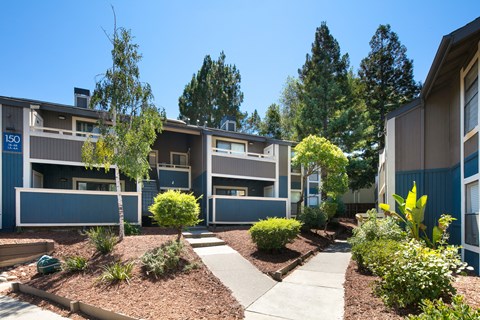 Green Landscaping at Maris at Martinez