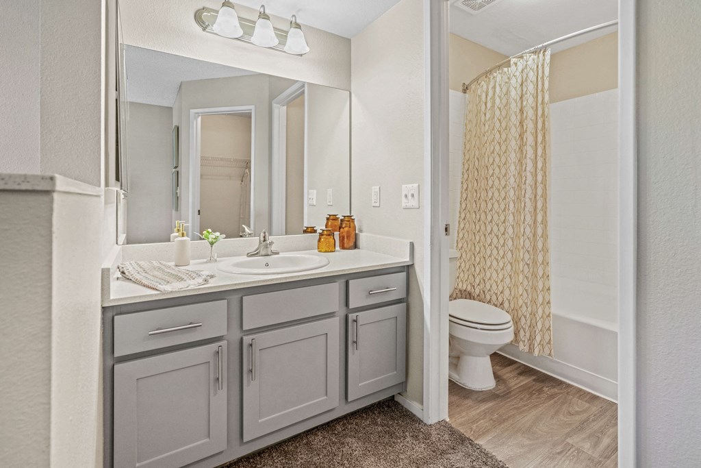 Bathroom vanity at Village at Desert Lakes