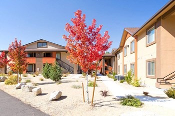 Red Fall Trees at Vale Apartments & Townhomes - Photo Gallery 4