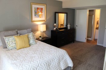 Master Bedroom with Storage Master Bedroom with Storage at Village at Iron Blossom, Nevada, 89511 - Photo Gallery 4