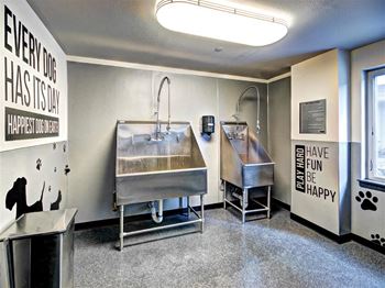 Dog wash and self-service grooming area at Vue 22 Apartments, Washington