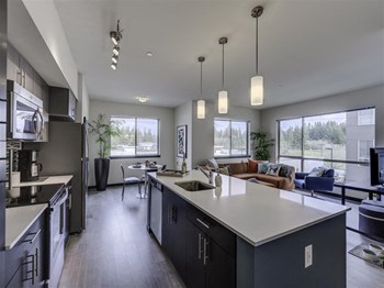 Polished quartz countertops Polished quartz countertops at Vue 22 Apartments, Bellevue, Washington - Photo Gallery 2