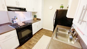 Double Stainless Steel Sink Double Stainless Steel Sink at Waterleaf Apartment Homes, Vista, 92083 - Photo Gallery 2