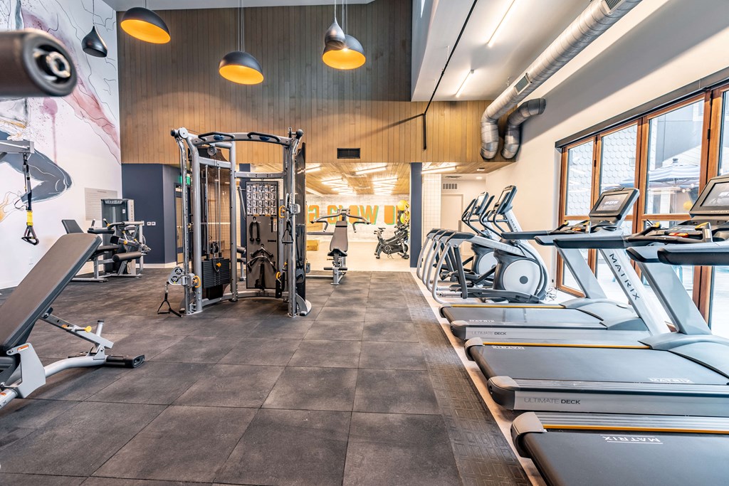 State of the Art Gym at Neon Local