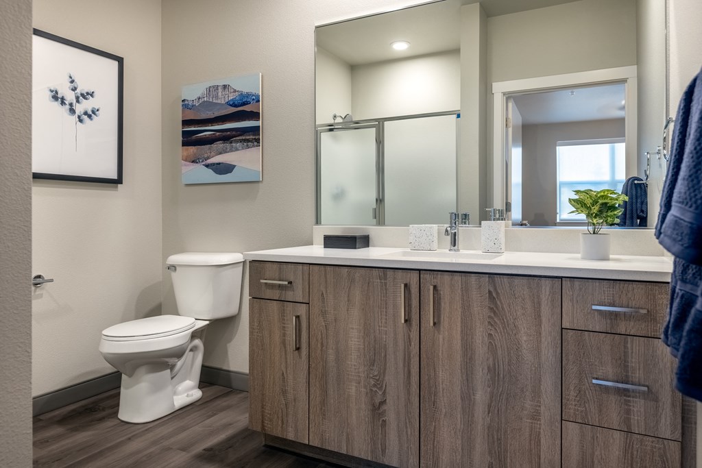 Bathroom Views at Zera at Reed Crossing