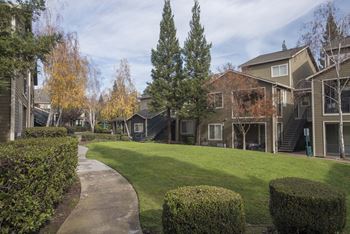 Green Spaces With Mature Trees at Atwood Apartments, California