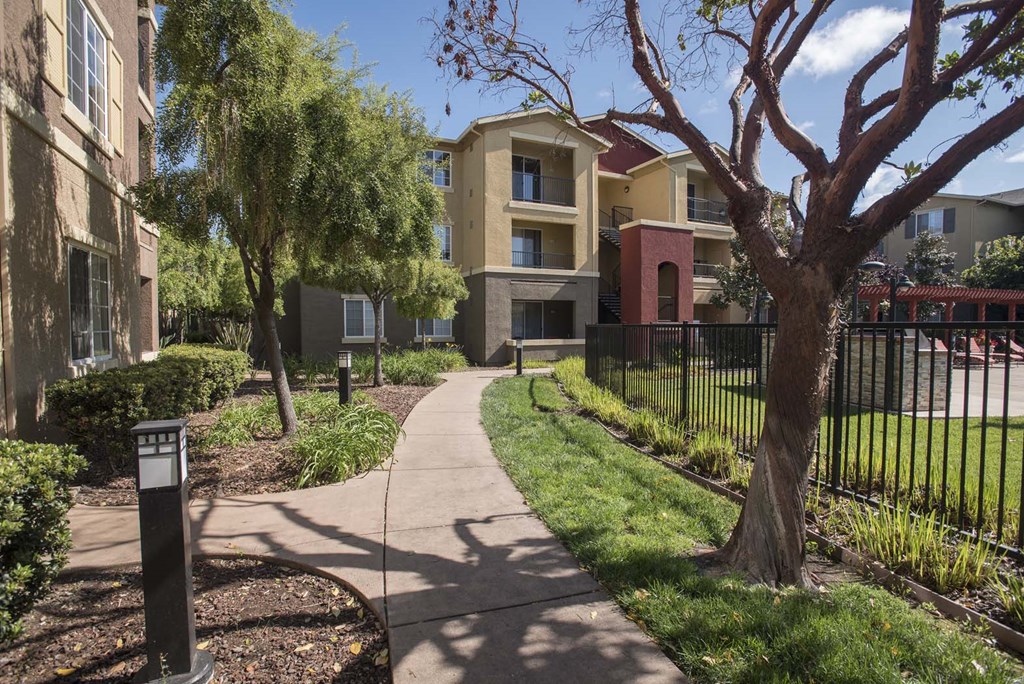 Safe Walking Paths In Courtyard at Sterling Village Apartment Homes, Vallejo