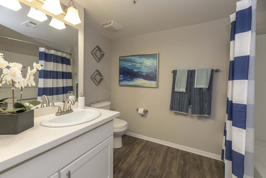 Custom Look Bathroom at Bella Vista Apartments