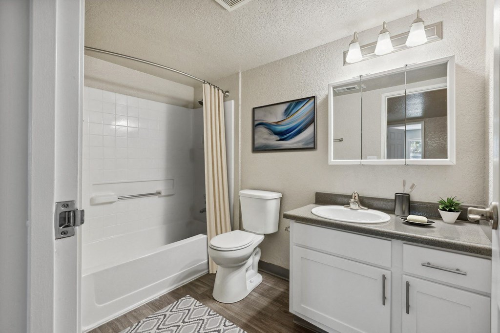 a bathroom with a shower toilet and sink