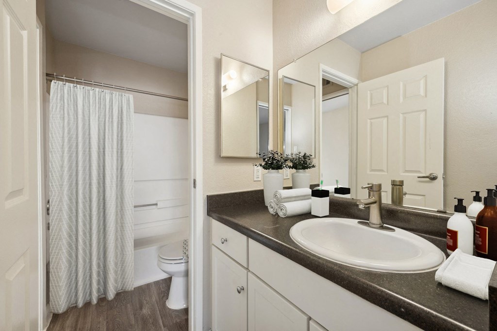 a bathroom with a sink and a toilet and a shower