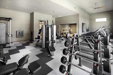 A gym with a variety of equipment including weights and cardio machines.