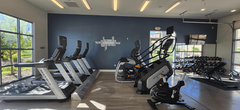 A gym with treadmills, elliptical machines and other cardio equipment.