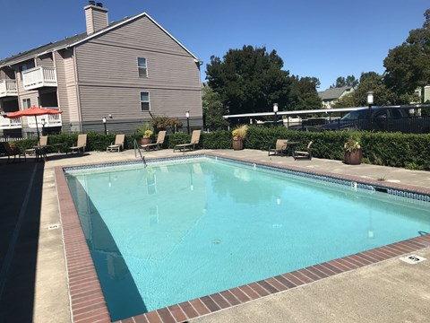 A swimming pool surrounded by a brick border and lounge chairs.