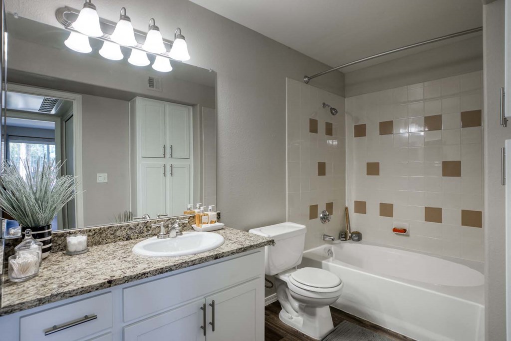 Bathroom at Lakeview at Superstition Springs, 1849 South Power Road