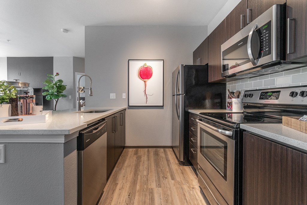 modern kitchen at Pallas