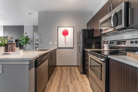 modern kitchen at Pallas