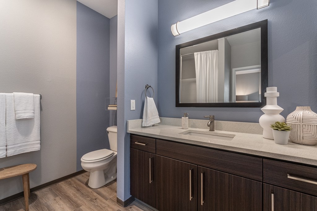 a bathroom with a sink and a toilet and a mirror