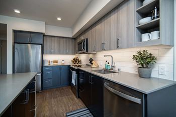 a kitchen with stainless steel appliances and black cabinets