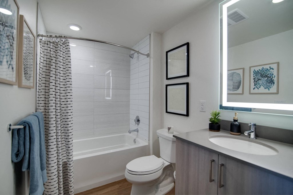 a bathroom with a shower toilet and sink and a mirror