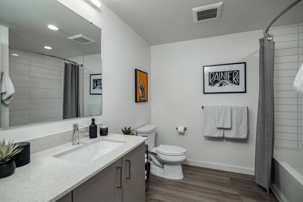 a bathroom with a sink and a toilet and a shower
